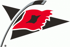 Carolina Hurricanes 1997 98-1998 99 Alternate Logo heat sticker