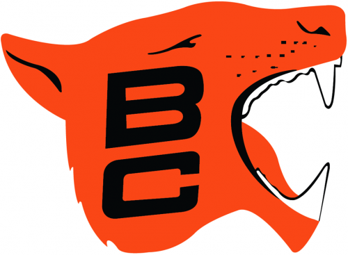 BC Lions 1967-1977 Primary Logo custom vinyl decal