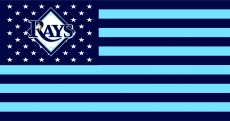 Tampa Bay Rays Flag001 logo heat sticker