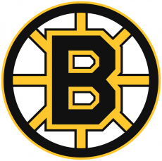 Boston Bruins 1995 96-2006 07 Primary Logo custom vinyl decal