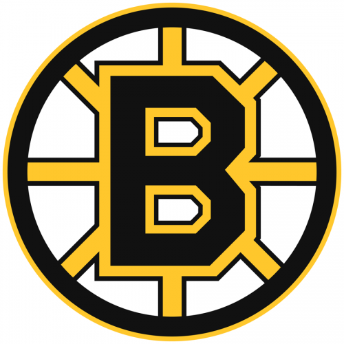 Boston Bruins 1995 96-2006 07 Primary Logo heat sticker