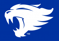 Kentucky Wildcats 2016-Pres Alternate Logo custom vinyl decal