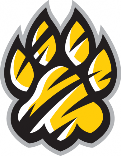 Towson Tigers 2004-Pres Alternate Logo heat sticker