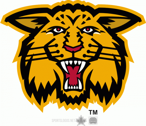 Moncton Wildcats 1998 99-2002 03 Alternate Logo custom vinyl decal