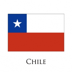 Chile flag logo heat sticker
