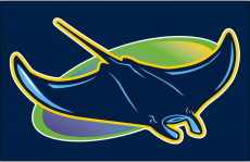 Tampa Bay Rays 2018-Pres Cap Logo heat sticker