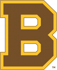 Boston Bruins 1932 33-1933 34 Primary Logo heat sticker