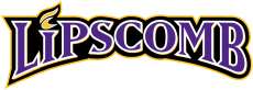 Lipscomb Bisons 2002-2011 Wordmark Logo 01 custom vinyl decal