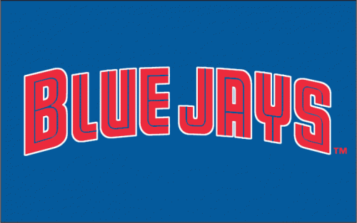 Dunedin Blue Jays 1997-2003 Wordmark Logo heat sticker