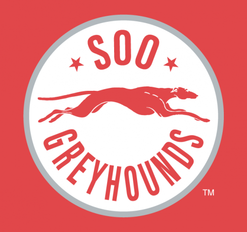 Sault Ste. Marie Greyhounds 2009 10-2012 13 Alternate Logo heat sticker