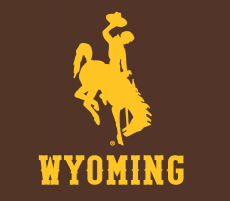 Wyoming Cowboys 2013-Pres Alternate Logo 01 heat sticker