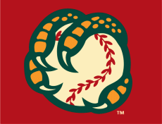Boise Hawks 2007-Pres Cap Logo heat sticker
