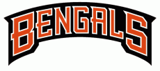Cincinnati Bengals 1997-2003 Wordmark Logo custom vinyl decal