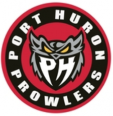 Port Huron Prowlers 2015 16-Pres Alternate Logo2 custom vinyl decal