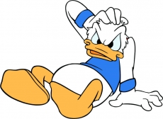 Donald Duck Logo 15 custom vinyl decal