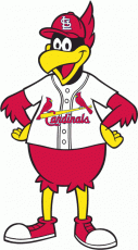 St.Louis Cardinals 1980-Pres Mascot Logo heat sticker