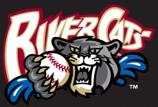 Sacramento River Cats 2000-2006 Cap Logo 2 heat sticker