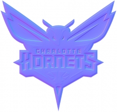 Charlotte Hornets Colorful Embossed Logo heat sticker