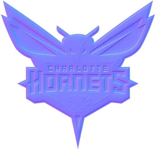 Charlotte Hornets Colorful Embossed Logo custom vinyl decal