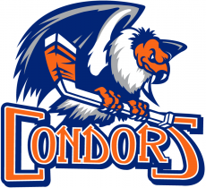 Bakersfield Condors 2015-2018 Primary Logo heat sticker