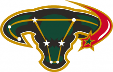 Dallas Stars 2003 04-2005 06 Alternate Logo heat sticker