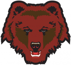 Brown Bears 1997-Pres Partial Logo heat sticker