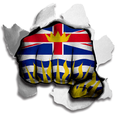 Fist British Columbia Flag Logo heat sticker