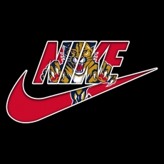 Florida Panthers Nike logo heat sticker
