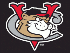 Tri-City Valleycats 2002-Pres Cap Logo heat sticker