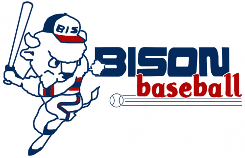 Buffalo Bisons 1985-1987 Primary Logo heat sticker