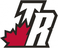 Toronto Raptors 2003-2008 Alternate Logo heat sticker