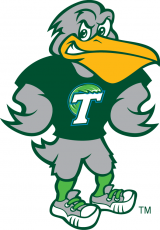 Tulane Green Wave 2014-Pres Mascot Logo heat sticker