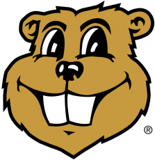 Minnesota Golden Gophers 1986-Pres Mascot Logo 02 custom vinyl decal