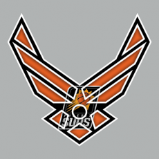 Airforce Phoenix Suns Logo heat sticker