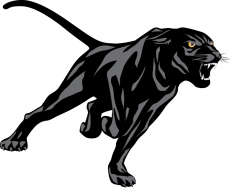 Prairie View A&M Panthers 2011-Pres Partial Logo heat sticker