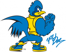 Delaware Blue Hens 1999-Pres Mascot Logo 10 custom vinyl decal