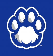 Eastern Illinois Panthers 2015-Pres Alternate Logo 04 heat sticker