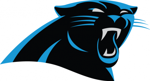 Carolina Panthers 2012-Pres Primary Logo heat sticker