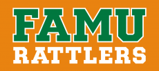 Florida A&M Rattlers 2013-Pres Wordmark Logo 07 heat sticker