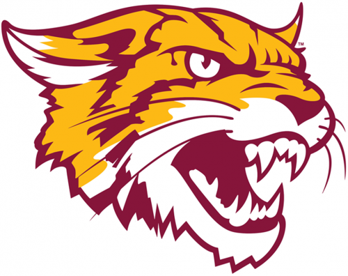 Bethune-Cookman Wildcats 2016-Pres Alternate Logo heat sticker