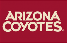Arizona Coyotes 2015 16-Pres Wordmark Logo custom vinyl decal