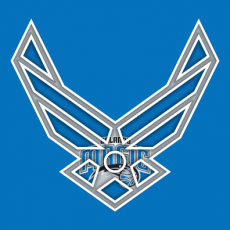 Airforce Orlando Magic Logo heat sticker