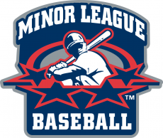 Minor League Baseball 1999-2007 Primary Logo heat sticker