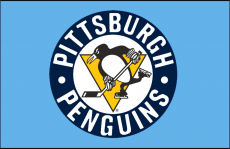 Pittsburgh Penguins 2008 09-2010 11 Jersey Logo heat sticker