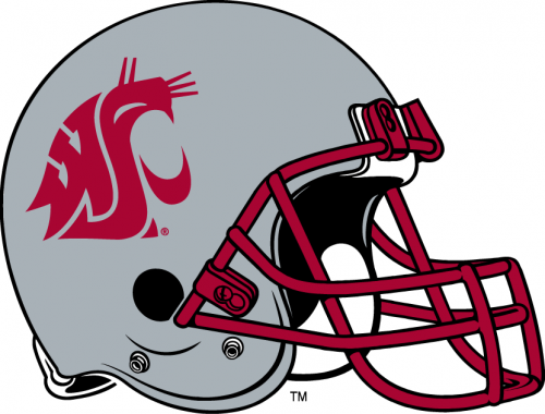 Washington State Cougars 1999-Pres Helmet Logo heat sticker