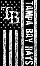 Tampa Bay Rays Black And White American Flag logo heat sticker