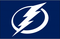 Tampa Bay Lightning 2011 12-Pres Jersey Logo heat sticker