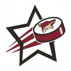 Arizona Coyotes Hockey Goal Star logo heat sticker