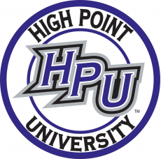 High Point Panthers 2004-Pres Alternate Logo 01 custom vinyl decal