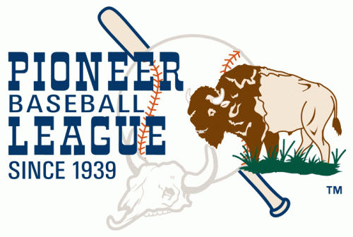 Pioneer League 1990-Pres Primary Logo heat sticker